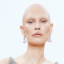 Terry Dimperio (terrydimperio)