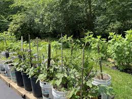 Ashley rey of leaked it seems like a great culture of 20