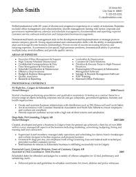 owner or manager resume template