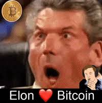 Ive simulated the bitcoin price for the whole 2018. Elon Bitcoin Meme Gif By Bitcoin Crypto Creative Marketing Find Share On Giphy