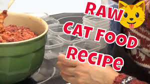 The essential nutrients needed in cats' diet the company started their cat food line last may 2018, and their marketing manager stated that their cat food recipes are created to combat specific health problems in cats such as kidney disease. How To Make Raw Cat Food Homemade Recipe For Healthy Cats Youtube