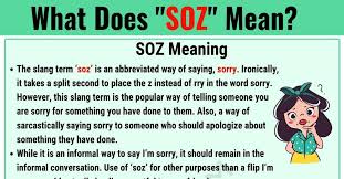 A weeaboo basically is just an otaku that has taken their passion into something more drastic. Soz Meaning What Does Soz Mean Useful Text Conversations 7 E S L Informal Words Text Conversations Meant To Be