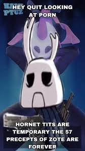 You should really stop : rHollowKnightMemes
