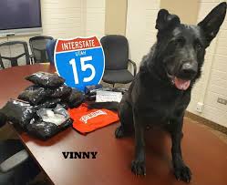 Between them, you can find below the main cities that translux operates. Cocaine Marijuana Found In Luggage On Greyhound Bus In St George By K9 Officers Kutv