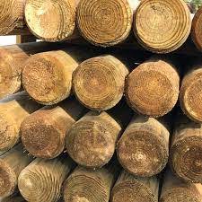 Poau bois rond diamètre hauteur 160. Rondin En Pin Brun Fraise Diametre 160mm En 4m Traite Classe 4 Briancon