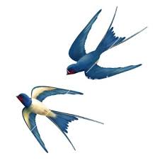 Flying Swallows Vector Image On 2020 Ucan Kus Kirlangic Kus Nakis