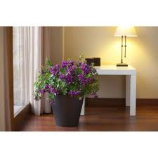 Jardiniere Bac A Fleur Pot De Fleurs Cone Tes 26 Cm Anthracite Pas Cher Achat Vente Poterie Bac A Fleurs Rueducommerce Grand choix, promos permanentes et livraison rapide partout en france. rue du commerce