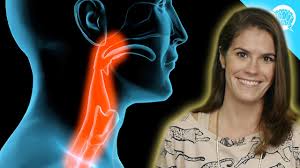 So now you know the why. The Vocal Differences Between The Genders Open Mic Uk