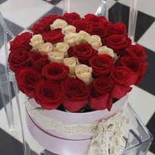 Roses Wonderful Flowers Floral Letters Beautiful Flowers