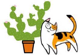 Different kinds of antiseptic pastes, such as turmeric powder along with mustard. Cats Can Carry Irritating Cactus Spines Laidback Gardener