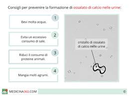 Alcune delle verdure a foglia verde sono tra gli alimenti più ricchi di acido ossalico. Ossalato Di Calcio Nelle Urine