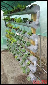 Marol Strawberry Dometes Wachsende Ideen Fur Pvc Rohre Fur Ideen Marolstraw New Ideas Hydrokultur Garten Garten Bepflanzen Garten Landschaftsbau