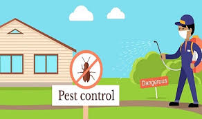 Hometeam pest defense provides pest control and termite treatment solutions to homeowners and homebuilders. Taking The Right Steps For Pest Control Sz Home Art