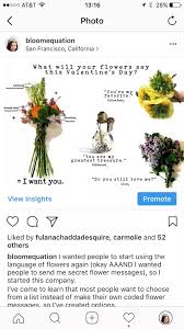 Tell the florist that flower is meaningful to you and to tell you if it isn't. What Is The Male Equivalent Of Flowers For Girls What Can You Get A Guy That S As Casual But Sweet As Flowers Quora