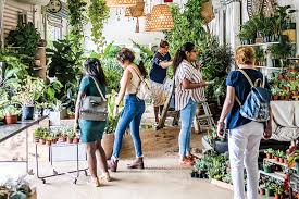 The heavy, winter park, fl. The Heavy A Plant Based Community Orlando Magazine
