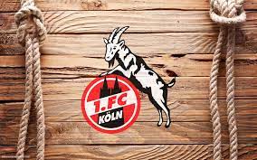 We hope you enjoy our growing collection of hd images to use as a background or home screen for 1920x1200 1. Hd Fc Ka Ln Wallpaper Full Hd Pictures