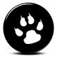 9th Annual Paws for a Cause Silent Auction event image