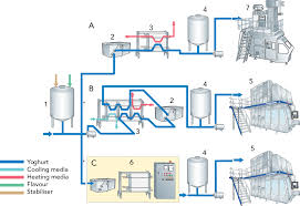 Fermented Milk Products Dairy Processing Handbook