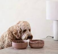 Marble Dog Bowl in Terra, 4 sizes – LoveThyBeast