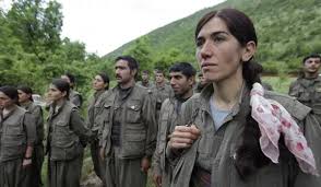 王晋：叙利亚库尔德人的诉求与挑战