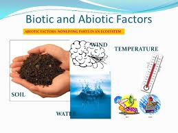 Biotic And Abiotic Factors In An Ecosystem Slideshare Ecosystems Biotic And Abiotic Factors