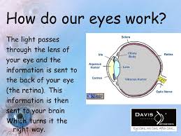 Your eyes see, but how does vision happen? Our Eyes How Do They Work Why Protect Them What Can We Do To Look After Them Ppt Download