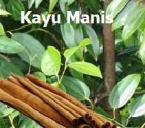 Kayu manis ini ternyata bisa juga membantu membatasi efek negatif dari berbagai asupan karbohidrat yang tinggi. Anim Agro Technology Herba Kayu Manis Potensinya