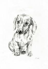 Gratis Afbeelding Op Pixabay Pup Hondje Hond Teckel Huisdier Hond Illustratie Honden Hondenspullen
