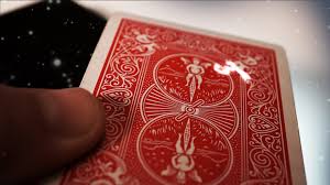 Starlight by Chris Perrotta