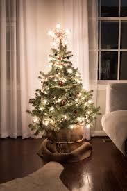 Containerized trees are usually smaller and target the tabletop christmas tree market. How To Take Care Of A Potted Christmas Tree The Right Way