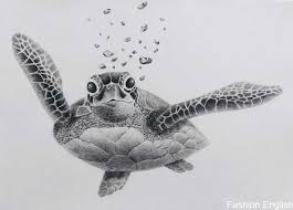 Drawn Sea Turtle Pencil 20 1024 X 736 Dumielauxepices Net Drawn Dumielauxepicesnet Pencil Sea Tur Turtle Tattoo Designs Turtle Drawing Turtle Tattoo