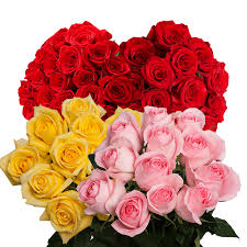 Best flowers for valentine's day besides roses. Best Flowers For Birthday Globalrose
