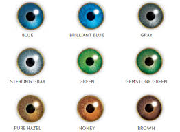 42 Unfolded Bausch Lomb Contact Lenses Colour Chart