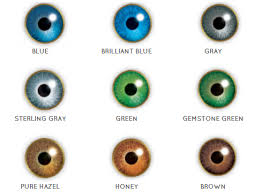 42 unfolded bausch lomb contact lenses colour chart