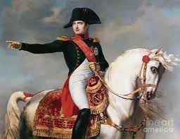 Napoleon was born on the 15th of august, 1769, in french occupied corsica. Napoleon Bonaparte Mojebeleske