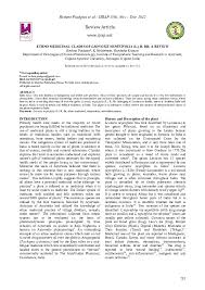 Image result for Vernonia nepetifolia