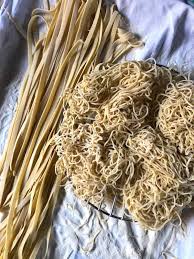 Easy Homemade Egg Noodles (For Chicken Noodle Soup & More) - Biting at the  Bits