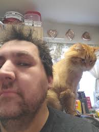 Jasper is my sous chef in the kitchen. Please Folllow, Comment, and Share.  #fyp #cat #catmom #catdad #jasper