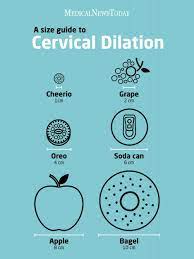 Cervix Dilation Chart Stages Of Labor And What To Expect