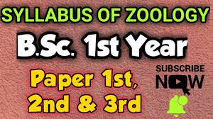 B Sc 1st Year Zoology Paper 1st 2nd 3rd Year Syllabus 2019 20 Sumit Rana Sir Youtube