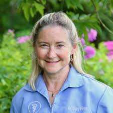 Our Animal Hospital Staff