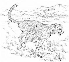 Gepard Ausmalbilder Ausmalbilder Fur Kinder Ausmalbilder Ausmalen Ausmalbilder Kinder