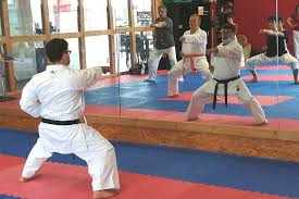 Karate handschuhe, karate protector, taekwondo protector, karate guard, sportausrüstung boxkäfig, speed ball, matten, gummimatten, grappling matte, kampfmatte, dojo trainingsmatte. Karate Landestrainer Marcus Gutzmer Beim Ksc Puderbach Nr Kurier De