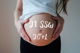 Ssw (19+0 bis 19+6) die hälfte der schwangerschaft hinter dir, denn insgesamt dauert die schwangerschaft 40. Schwangerschaftsupdate 21 Ssw 20 1 Ivy Li