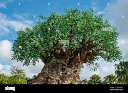 Arbol De La Vida Fotos E Imagenes De Stock Alamy