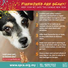 Li meng furniture 2.69 km. Pet First Veterinary Centre Kepong Home Facebook