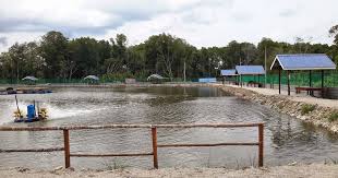 Cari tempat menarik di malaysia. 15 Tempat Menarik Di Rompin Pahang Best Amat Sesuai Untuk Keluarga
