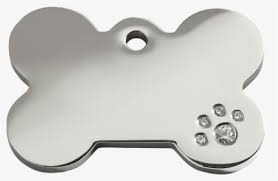 We did not find results for: Dog Bone Png Images Transparent Dog Bone Image Download Pngitem