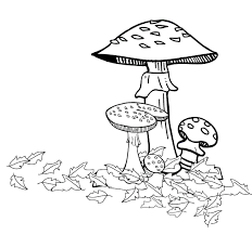 See more ideas about coloring pages, mushroom art, stuffed mushrooms. Autumn Coloring Pages Coloring Pages Secret Garden Coloring Book Coloring Book Pages