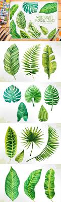 Check spelling or type a new query. Gambar 7 Daun Yang Mudah Digambar Gampang Digambar Banget Referensi Gambar Daun Flash